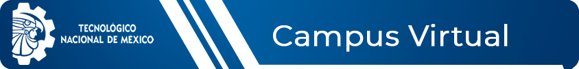 CampusVirtual-TecNM-Cd. Valles