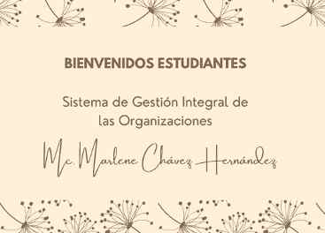SISTEMA DE GESTION INTEGRAL EN LAS ORGANIZACIONES(BORRAR)