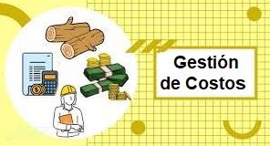 GESTION DE COSTOS
