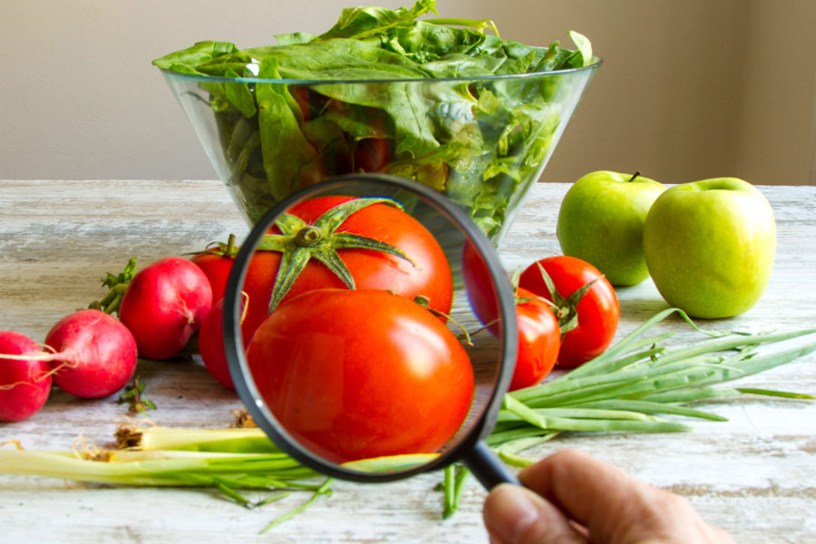 GESTIÓN DE LA INOCUIDAD BASADA EN LAS BPMA