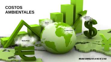 INGENIERIA DE COSTOS PARA AMBIENTAL 2026