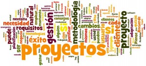 GESTION DE PROYECTOS DE SW