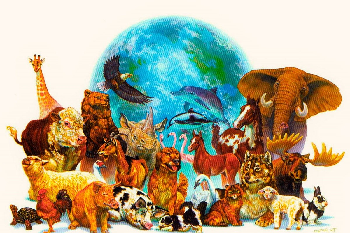 Zoología [AGC-1024]