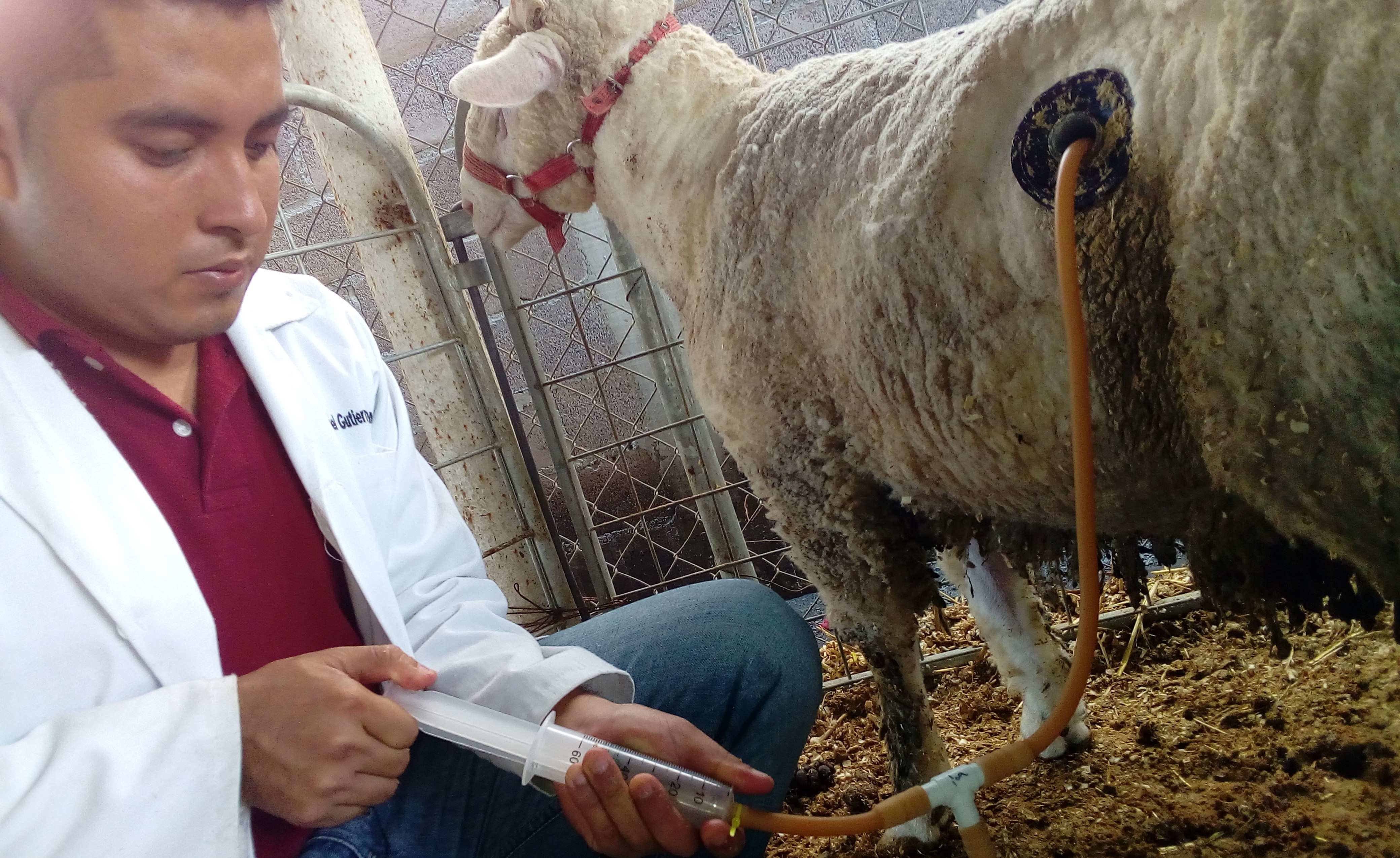 Fisiología Animal [AGF-1008]