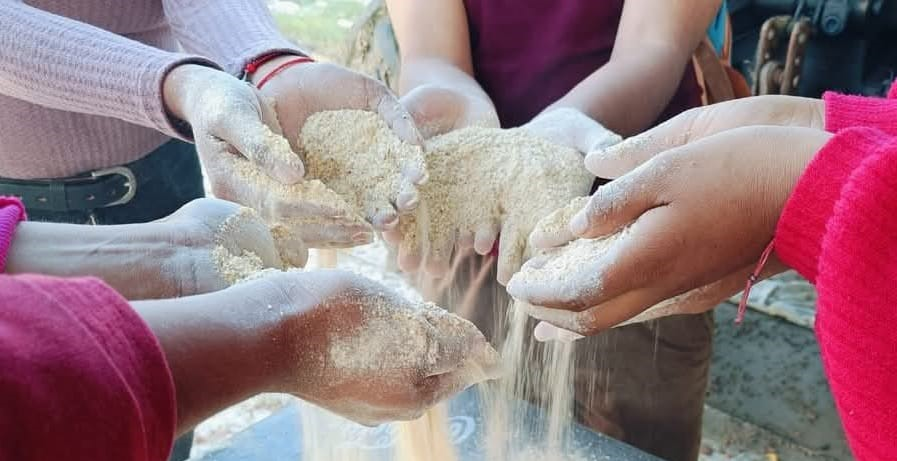 Nutrición Animal [AGD-1017]