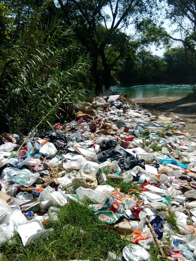 REMEDIACION DE SUELOS